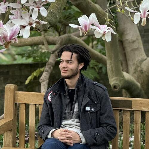 person sitting on bench under flowering tree.