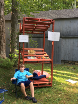 young boy at farm stand.