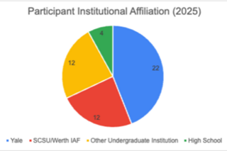 Another pie chart 