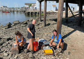3 people on beach with tool boxes and water, dock, and ships in background.