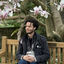 person sitting on bench in front of magnolia tree.