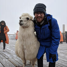 llama standing next to person.